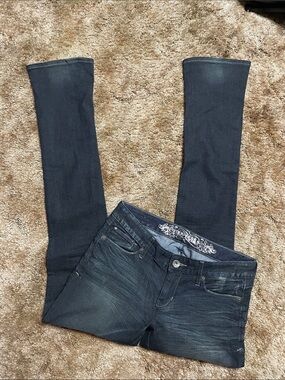 Express Sky Scraper Stella Low Rise Regular Fit Jean Size 2 Regular